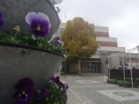  / Новини от Казанлък