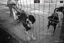  / Новини от Казанлък