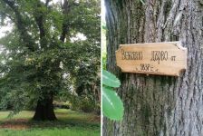  / Новини от Казанлък