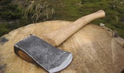  / Новини от Казанлък