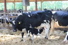  / Новини от Казанлък