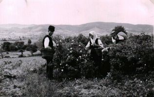  / Новини от Казанлък