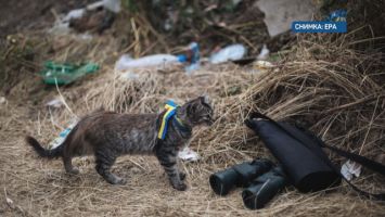  / Новини от Казанлък