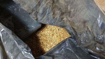  / Новини от Казанлък