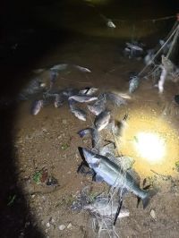  / Новини от Казанлък