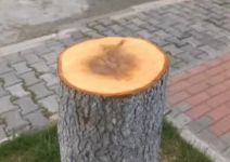  / Новини от Казанлък