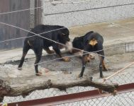  / Новини от Казанлък