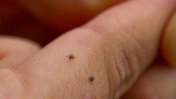  / Новини от Казанлък