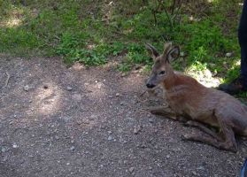  / Новини от Казанлък