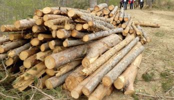  / Новини от Казанлък