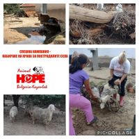  / Новини от Казанлък