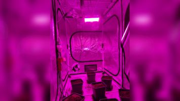  / Новини от Казанлък