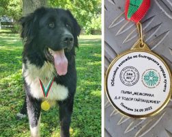  / Новини от Казанлък