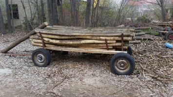 Прибраха “на топло“ двама, незаконно изсекли 9 кубика дърва в Юлиево / Новини от Казанлък