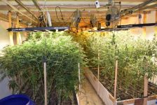  / Новини от Казанлък