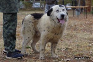  / Новини от Казанлък