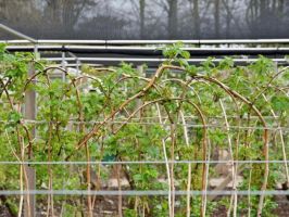  / Новини от Казанлък