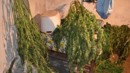  / Новини от Казанлък