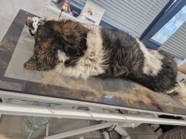  / Новини от Казанлък