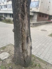  / Новини от Казанлък