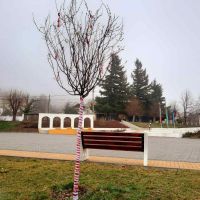 Мартенски дръвчета украсиха центъра на град Шипка / Новини от Казанлък