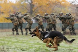  / Новини от Казанлък