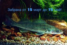  / Новини от Казанлък