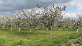  / Новини от Казанлък