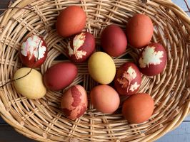  / Новини от Казанлък