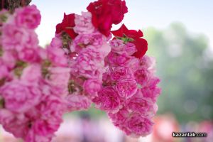  / Новини от Казанлък