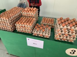  / Новини от Казанлък