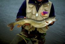  / Новини от Казанлък