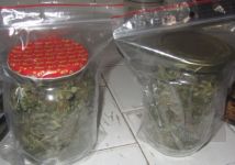  / Новини от Казанлък