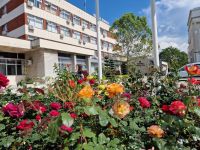  / Новини от Казанлък