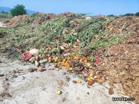 130 тона биотор генерира компостиращата станция на Община Казанлък / Новини от Казанлък