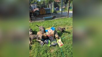  / Новини от Казанлък