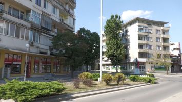 Как Община Казанлък решава кои дървета да отсече? / Видео  / Новини от Казанлък