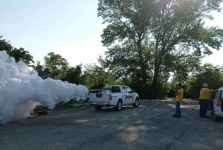 Затворете прозорците тази вечер: Пръскане срещу комари в град Казанлък  / Новини от Казанлък