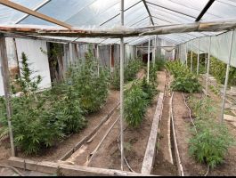  / Новини от Казанлък