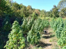  / Новини от Казанлък