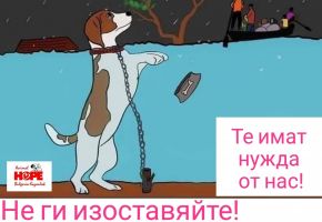  / Новини от Казанлък
