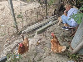  / Новини от Казанлък