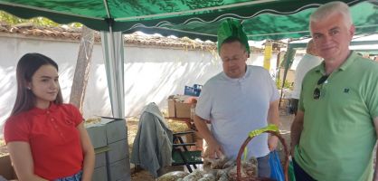  / Новини от Казанлък