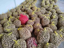  / Новини от Казанлък