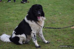  / Новини от Казанлък