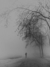 Фотографската изложба “Sketch for Dreams“ на Милян Неделкович гостува в Казанлък  / Новини от Казанлък