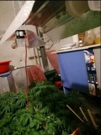  / Новини от Казанлък