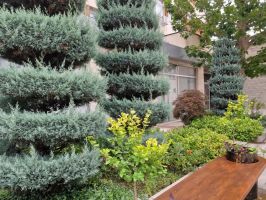  / Новини от Казанлък