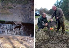  / Новини от Казанлък