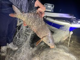  / Новини от Казанлък